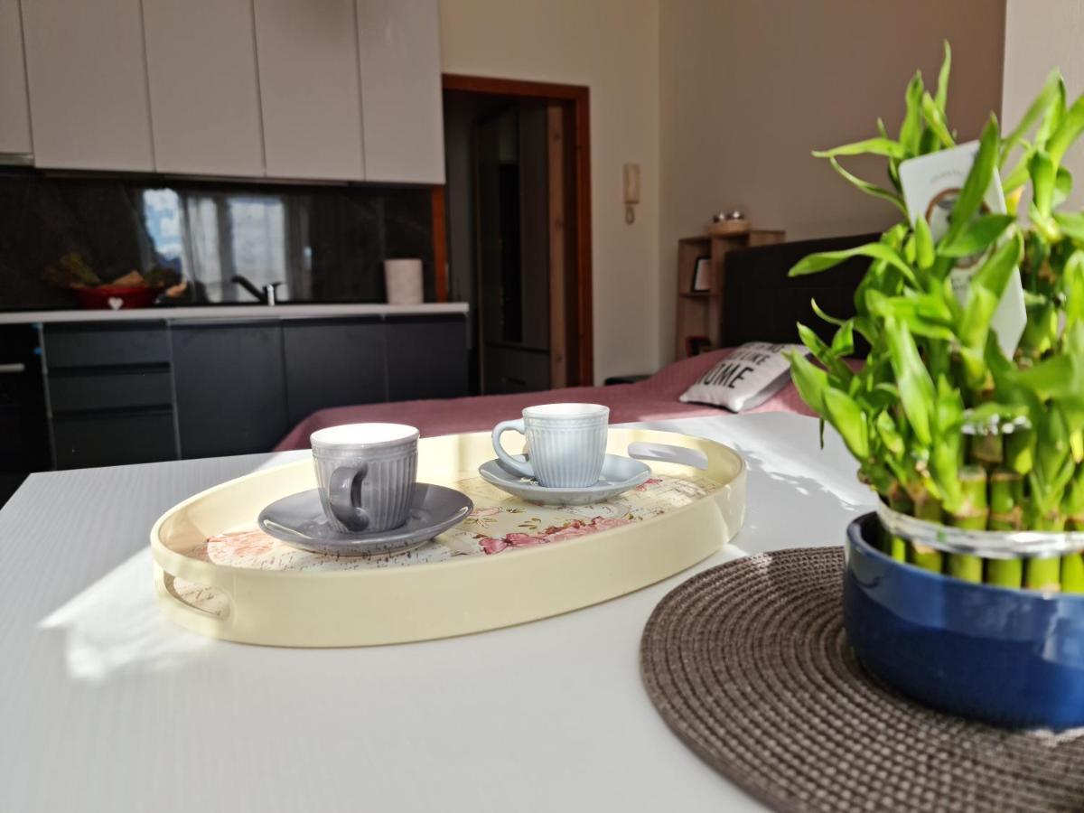 Lovely One Bedroom Studio In Тирана Экстерьер фото